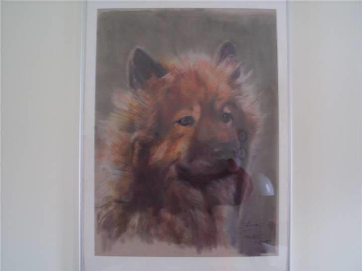 Eurasier Bella - Jeg er også blevet foreviget på et rigtig maleri billede 8