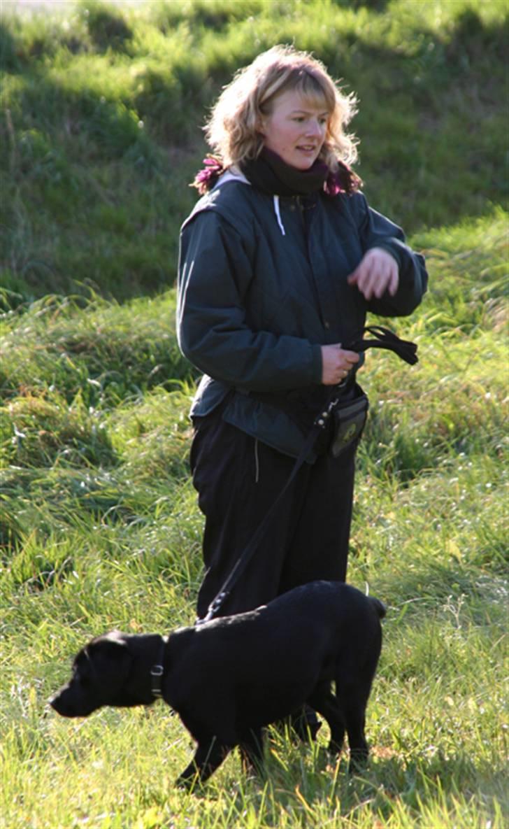 Labrador retriever Max - Max og mig til træning d. 10.11.07 billede 9