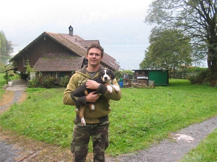 Grosser schweizer sennenhund Vitus - Vitus hentes hjem fra Schweiz, 9 uger billede 12