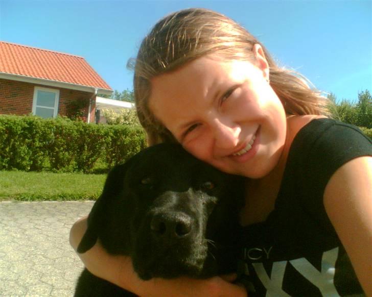 Labrador retriever sara - Os to!<3 elsker dig ubeskriveligt højt! :´D<3 billede 2