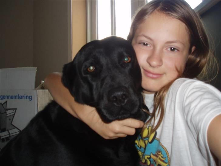 Labrador retriever sara - Mig og Sara, lige da jeg stod op<33 billede 7