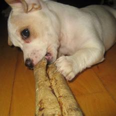 Blanding af racer - snut