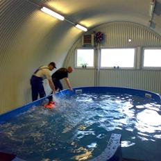 Dobermann Tika di Altobello