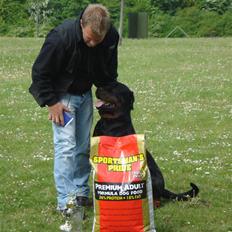 Rottweiler Victor