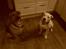Blanding af racer Helmut - Helmut & chica der sidder sammen 