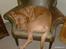 Dogue de bordeaux Betty (sveske) R.I.P.  - nu, vil jeg have en større stol....
