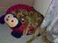 Cavalier king charles spaniel Samson