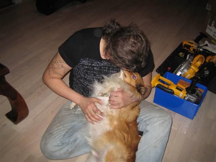 Blanding af racer Mickey Solgt billede 18