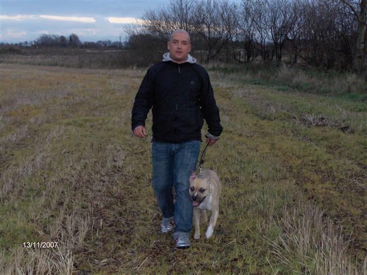 Amerikansk staffordshire terrier Pumba - Død 8/1 -08  - billede 12