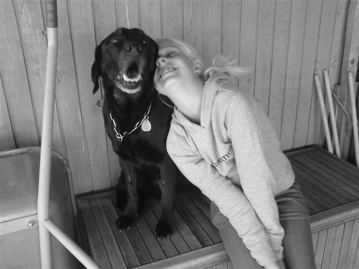 Labrador retriever Gibson *R.I.P* - Min søster & Gibson <3 billede 6