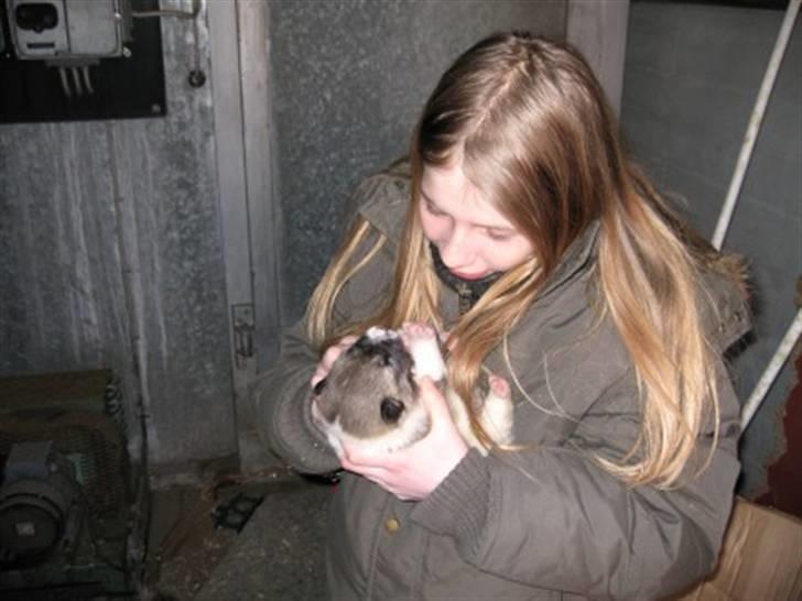 Grønlandshund malou - mig og malou billede 19