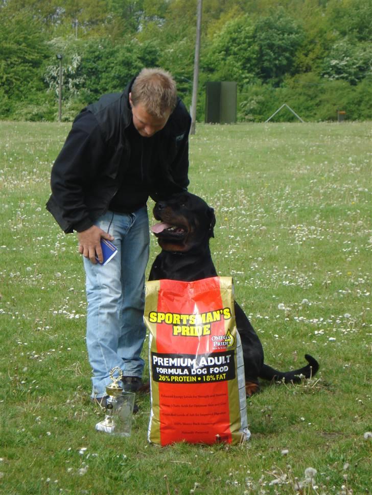 Rottweiler Victor - Mig og far får førstepladsen i begynder B. billede 1