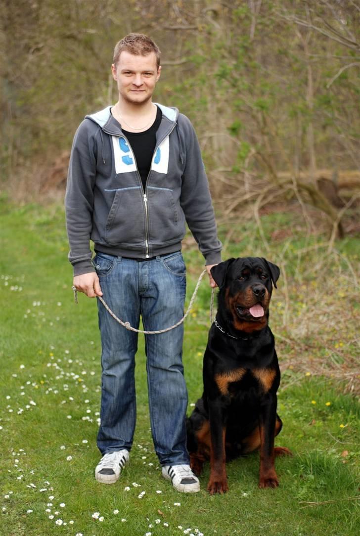 Rottweiler Victor billede 2