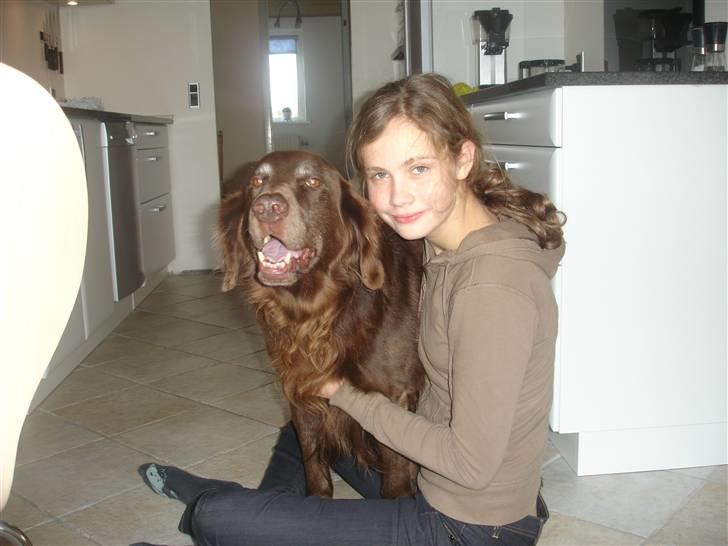 Blanding af racer Simba - Mig og Simba i køkknet.. :) billede 2