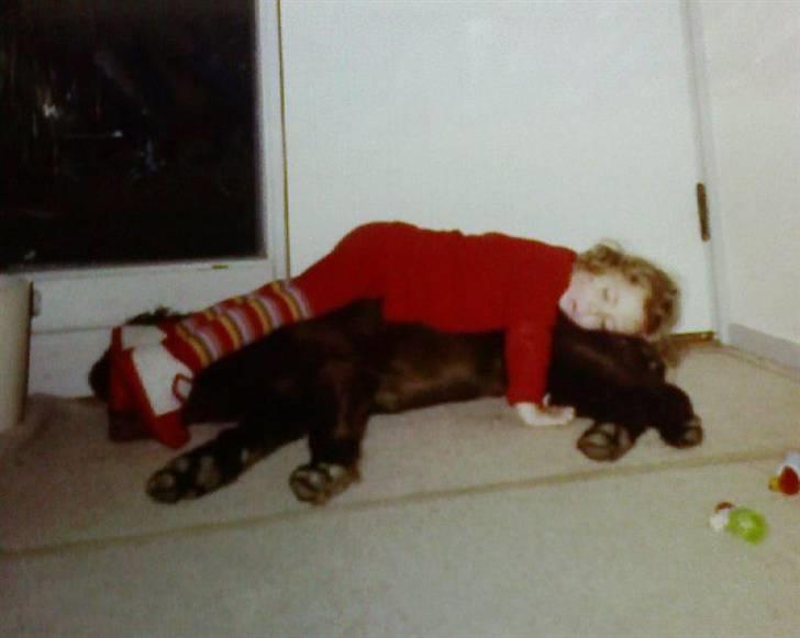 Blanding af racer Simba billede 9