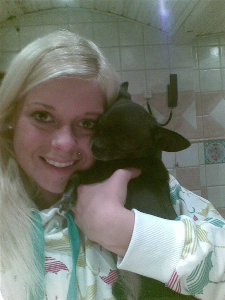 Chihuahua Little Look  - Nyt billede af mig og min mor! :) billede 20