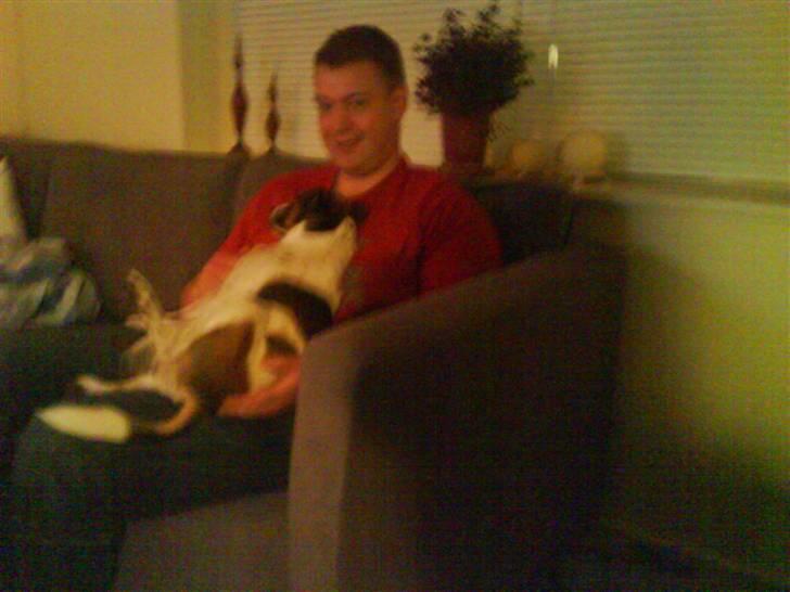 Blanding af racer Charlie - Far har en dejlig mave at ligge på. Hihi billede 13