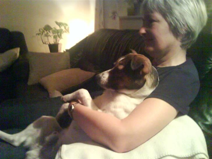 Blanding af racer Charlie - Vi sidder lige og ser tv billede 14