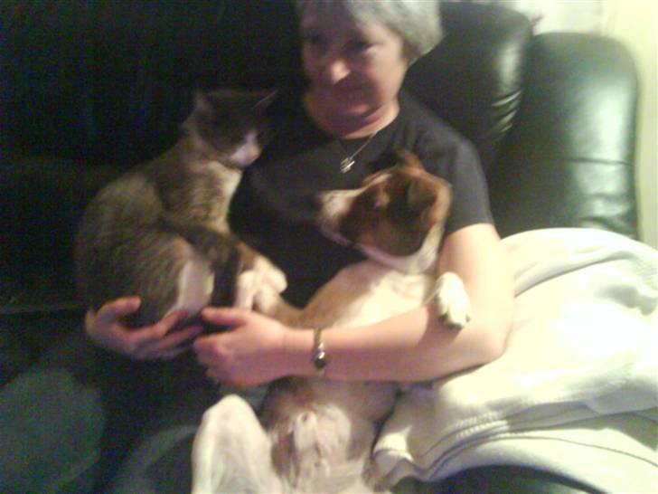 Blanding af racer Charlie - Min storesøster pussi, min mormor og mig..  billede 15