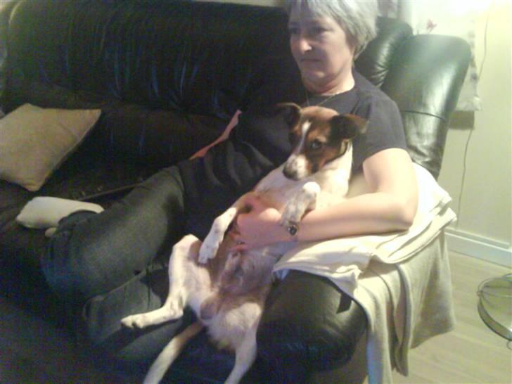 Blanding af racer Charlie - hygger hos mormor, "stop med at tage billeder mor ! " billede 16