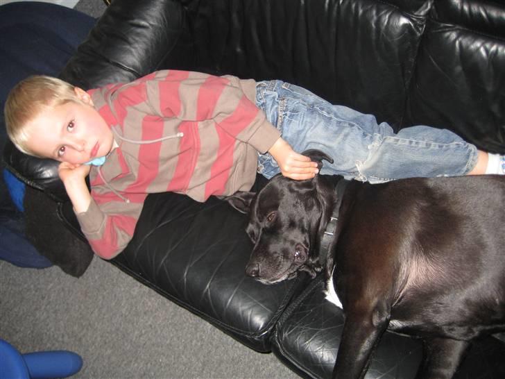 Blanding af racer Rocky - Tobias og rocky billede 9