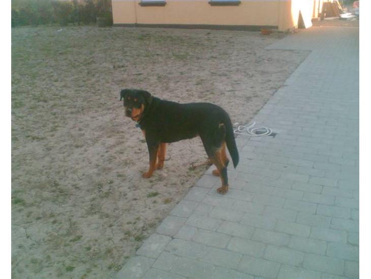 {{currentPhoto.altText}} billede {{currentPhoto.number}}