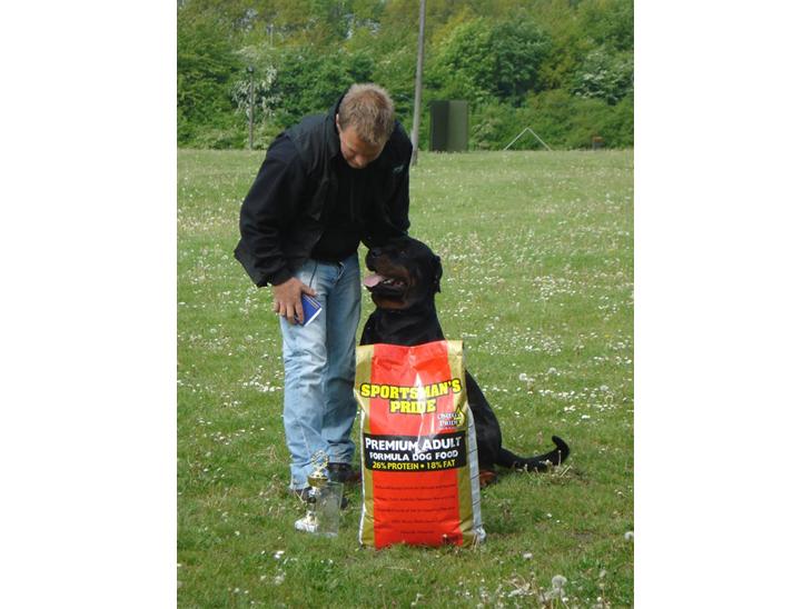 Rottweiler Victor - Mig og far får førstepladsen i begynder B. billede 1