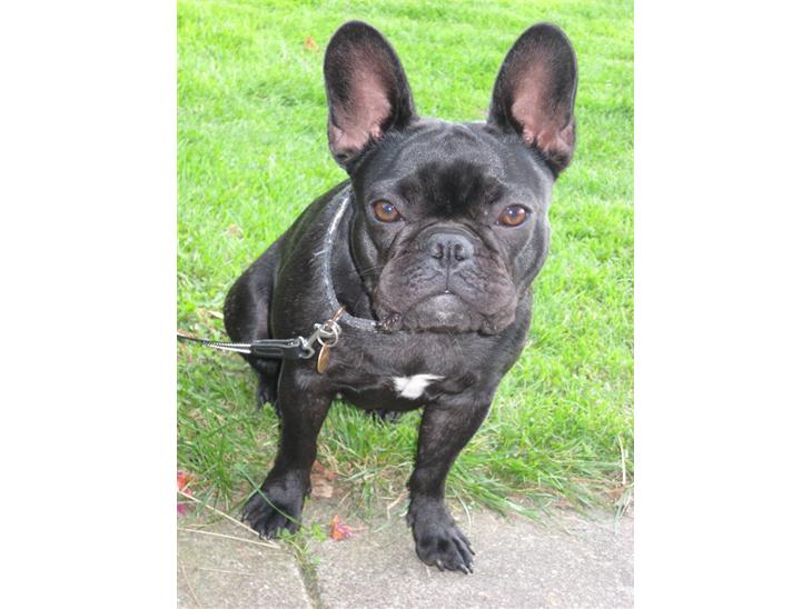 {{currentPhoto.altText}} billede {{currentPhoto.number}}