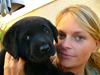 Labrador retriever joda