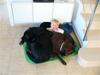 Labrador retriever Tarzan R.I.P.