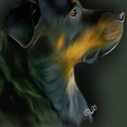 Rottweiler * Bella *