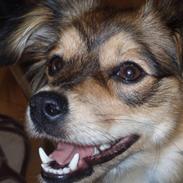 Blanding af racer Matilde