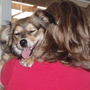 Blanding af racer Matilde