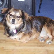 Blanding af racer Matilde