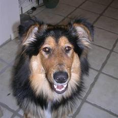 Blanding af racer Aris <3