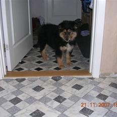 Blanding af racer Aris <3