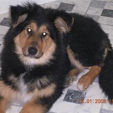 Blanding af racer Aris <3