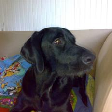 Blanding af racer lucky R.I.P<3