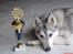 Siberian husky R.I.P Kimik´s Dinna - det var så den første præmie ! 