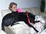 Labrador retriever Dixi - Jep. Dixi tror selv hun er en skødehund