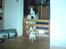 Dansk svensk gaardhund Putte *R.I.P* 2005