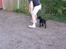 Blanding af racer Jilly - Claus og baby Jilly leger i jordhaven, dengang for lang tid siden...