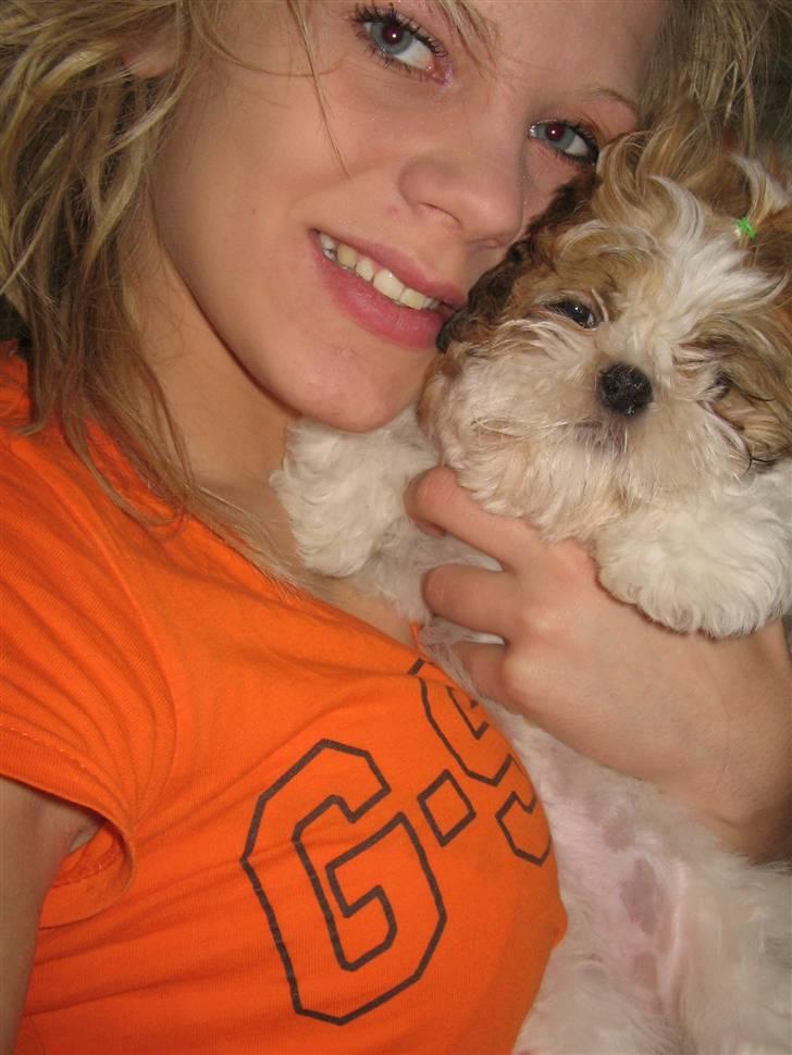 Shih tzu Kiwi - Min store søster Maria sammen med Kiwi <3 billede 15