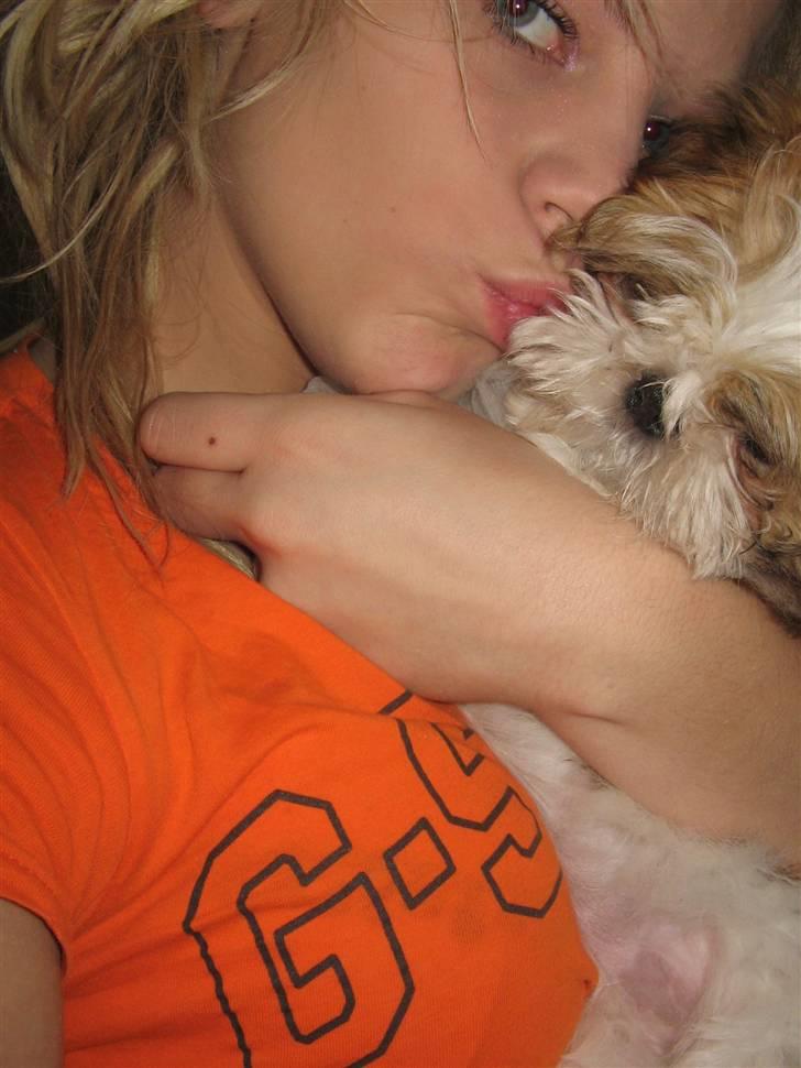 Shih tzu Kiwi - Min store søster Maria sammen med Kiwi <3 billede 18