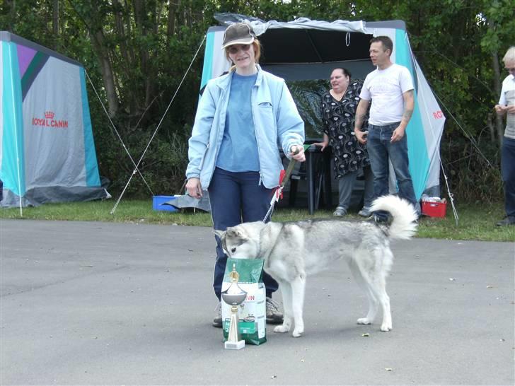 Siberian husky R.I.P Kimik´s Dinna - Her er vi lige blevet BIS 4  billede 11