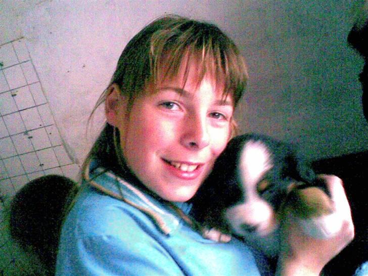 Berner sennenhund Magnus - det er min ejer og min lille pige..jeg skulle hilse lig sige fra min ejer at hun ikke særlig køn på billedet... billede 2