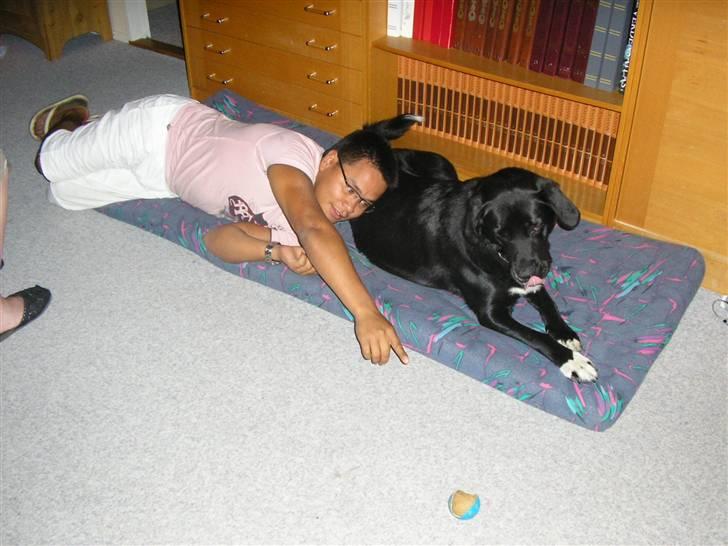 Blanding af racer Nemo - Ta´ bolden? Ej helt ærligt, så ska jeg jo rejse mig... billede 6