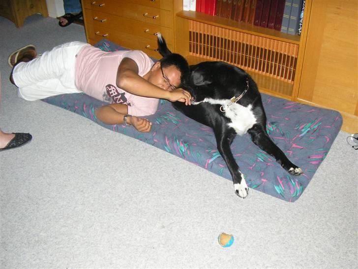 Blanding af racer Nemo - Jubii! fjolle-rund med bjarne billede 7