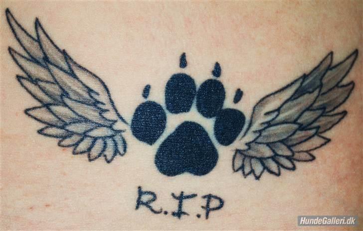 Grand danois Basse*1. hunde - R.I.P.* - Min første tatoverring, til minde og ære om Basse <3 Lavet d. 27/7-09 billede 15