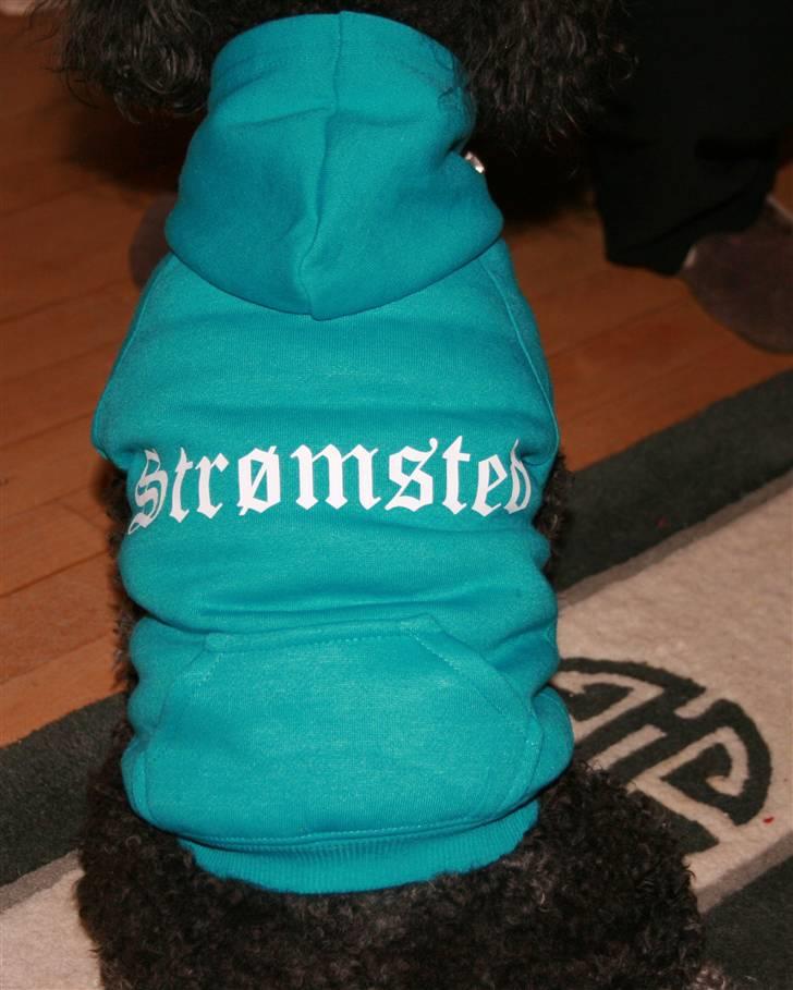 Toypuddel Sindy - Sindy hættetrøje o_O billede 1